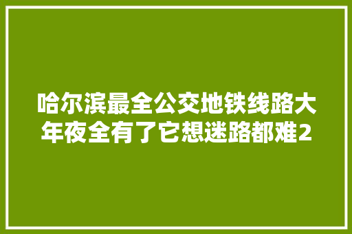 哈尔滨最全公交地铁线路大年夜全有了它想迷路都难2017年最新