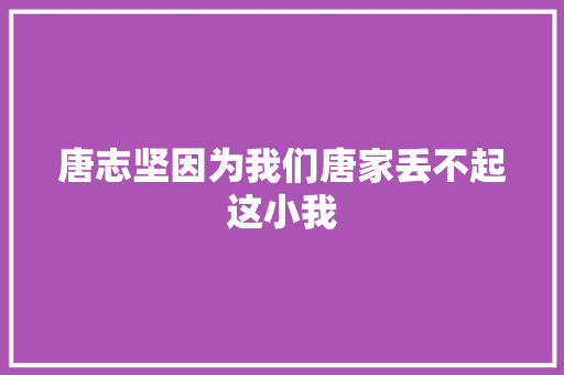 唐志坚因为我们唐家丢不起这小我