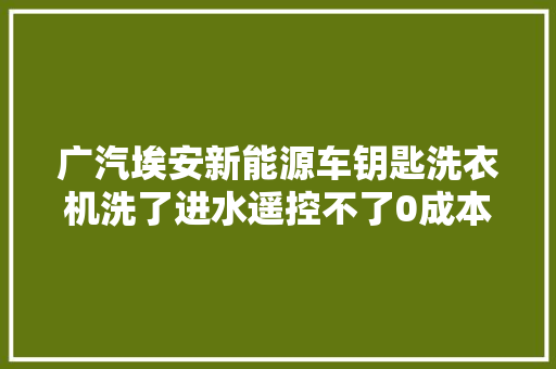 广汽埃安新能源车钥匙洗衣机洗了进水遥控不了0成本教