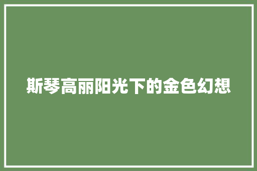 斯琴高丽阳光下的金色幻想