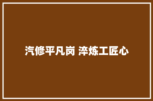 汽修平凡岗 淬炼工匠心