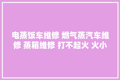 电蒸饭车维修 燃气蒸汽车维修 蒸箱维修 打不起火 火小 不加热 漏水等