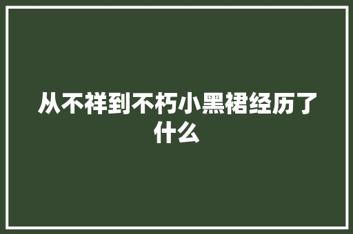 从不祥到不朽小黑裙经历了什么