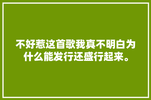 不好惹这首歌我真不明白为什么能发行还盛行起来。