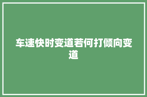车速快时变道若何打倾向变道