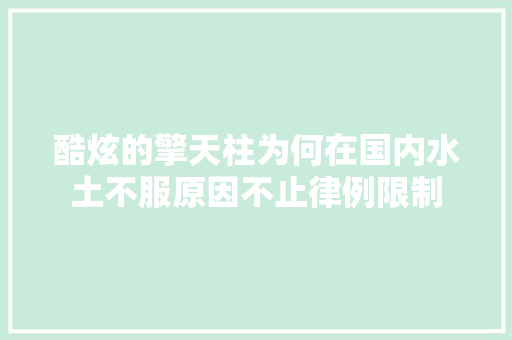 酷炫的擎天柱为何在国内水土不服原因不止律例限制