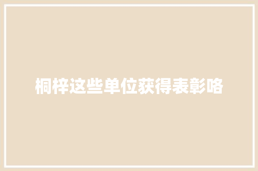 桐梓这些单位获得表彰咯 汽车知识
