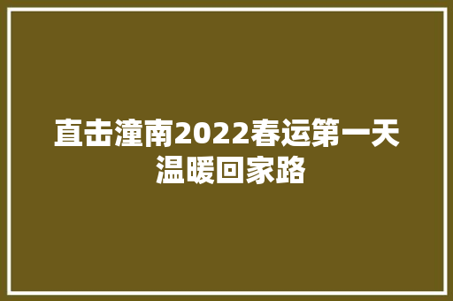 直击潼南2022春运第一天 温暖回家路