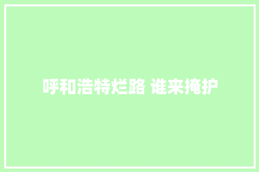 呼和浩特烂路 谁来掩护