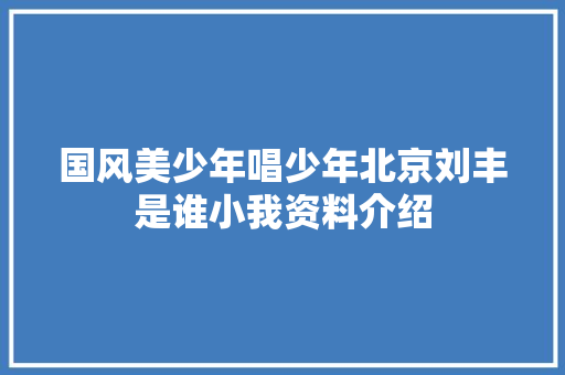 国风美少年唱少年北京刘丰是谁小我资料介绍