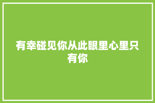 有幸碰见你从此眼里心里只有你