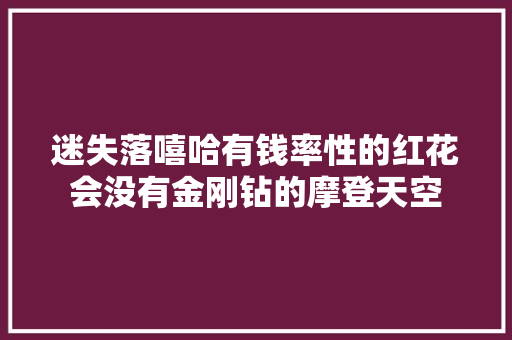 迷失落嘻哈有钱率性的红花会没有金刚钻的摩登天空