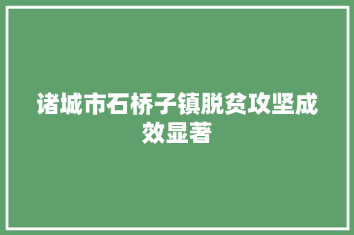 诸城市石桥子镇脱贫攻坚成效显著