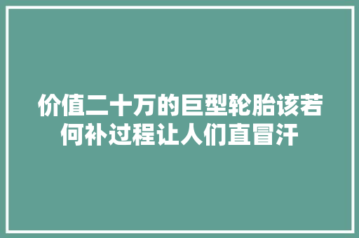 价值二十万的巨型轮胎该若何补过程让人们直冒汗