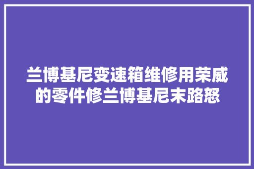 兰博基尼变速箱维修用荣威的零件修兰博基尼末路怒