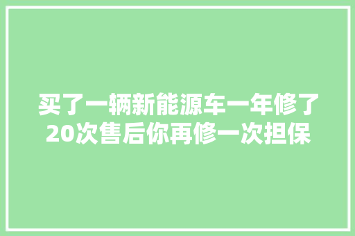 买了一辆新能源车一年修了20次售后你再修一次担保能好