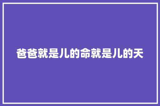 爸爸就是儿的命就是儿的天