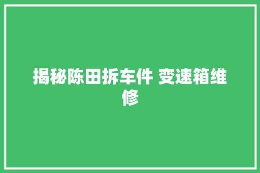 揭秘陈田拆车件 变速箱维修 汽车知识