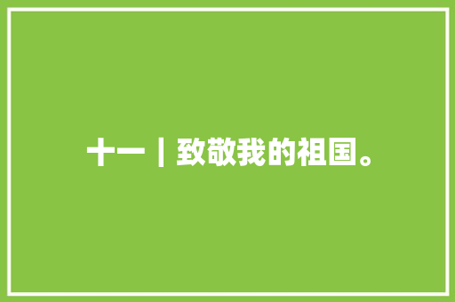 十一｜致敬我的祖国。