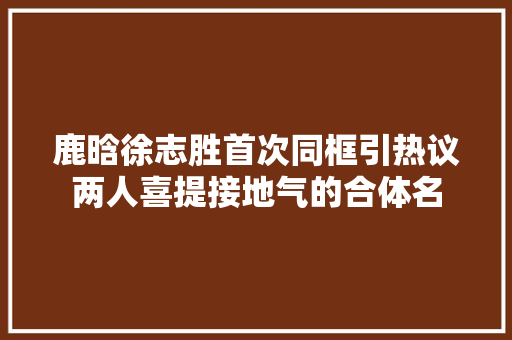 鹿晗徐志胜首次同框引热议两人喜提接地气的合体名