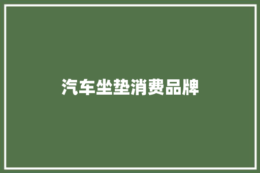汽车坐垫消费品牌 汽车知识