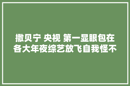撒贝宁 央视 第一显眼包在各大年夜综艺放飞自我怪不得没同伙