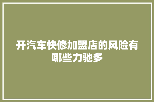 开汽车快修加盟店的风险有哪些力驰多
