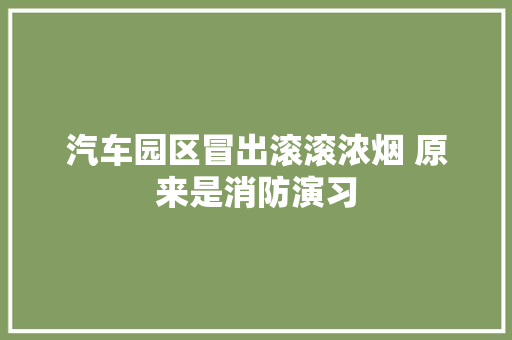 汽车园区冒出滚滚浓烟 原来是消防演习