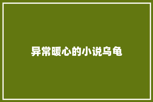 异常暖心的小说乌龟