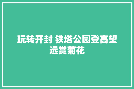 玩转开封 铁塔公园登高望远赏菊花