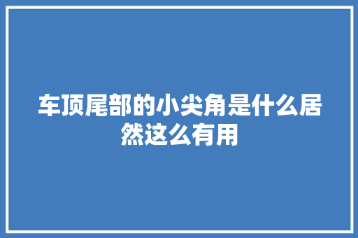 车顶尾部的小尖角是什么居然这么有用