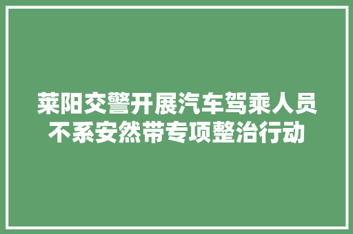 莱阳交警开展汽车驾乘人员不系安然带专项整治行动