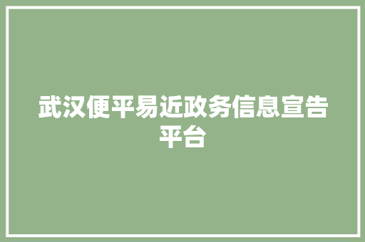 武汉便平易近政务信息宣告平台