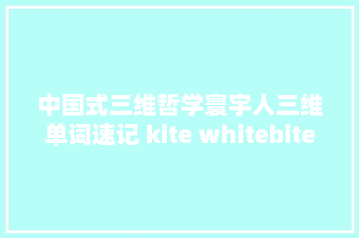 中国式三维哲学寰宇人三维单词速记 kite whitebiteinvite