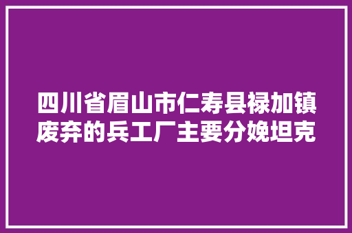 四川省眉山市仁寿县禄加镇废弃的兵工厂主要分娩坦克和航空配件
