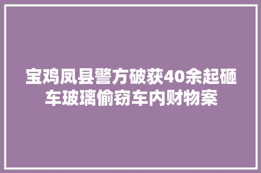 宝鸡凤县警方破获40余起砸车玻璃偷窃车内财物案