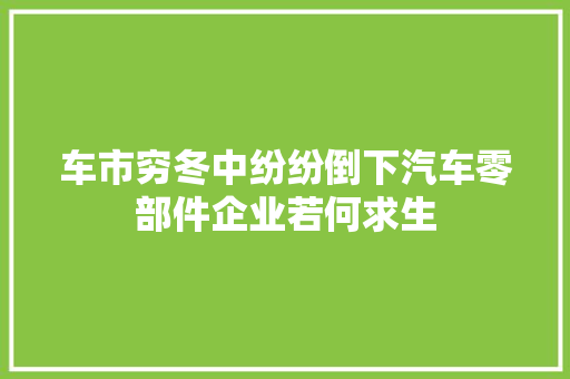 车市穷冬中纷纷倒下汽车零部件企业若何求生