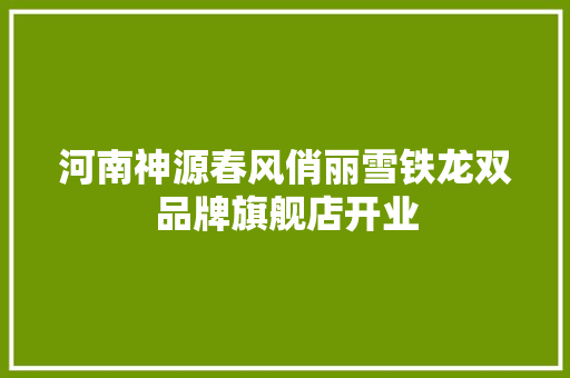河南神源春风俏丽雪铁龙双品牌旗舰店开业