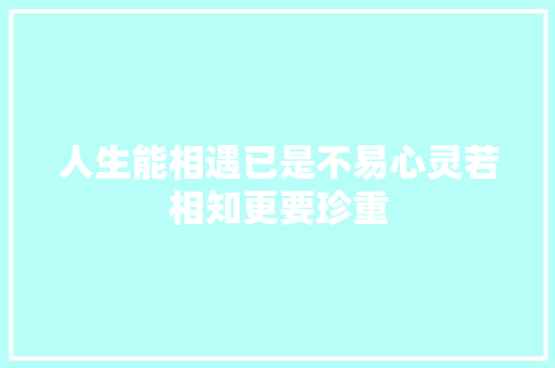 人生能相遇已是不易心灵若相知更要珍重