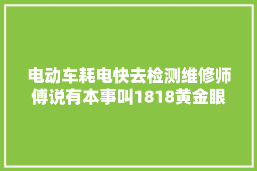 电动车耗电快去检测维修师傅说有本事叫1818黄金眼来