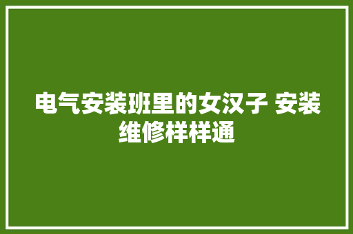 电气安装班里的女汉子 安装维修样样通