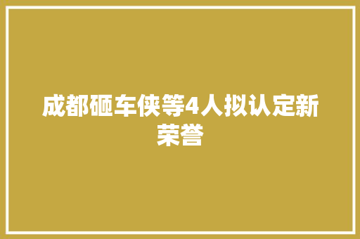 成都砸车侠等4人拟认定新荣誉