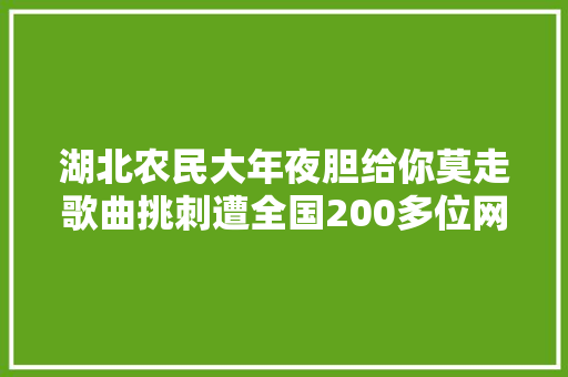 湖北农民大年夜胆给你莫走歌曲挑刺遭全国200多位网友进击