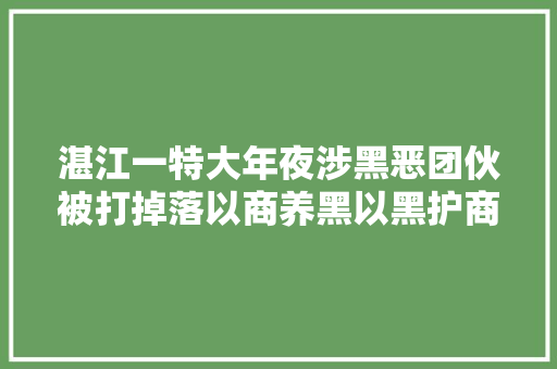 湛江一特大年夜涉黑恶团伙被打掉落以商养黑以黑护商涉案超2亿