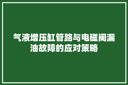 气液增压缸管路与电磁阀漏油故障的应对策略