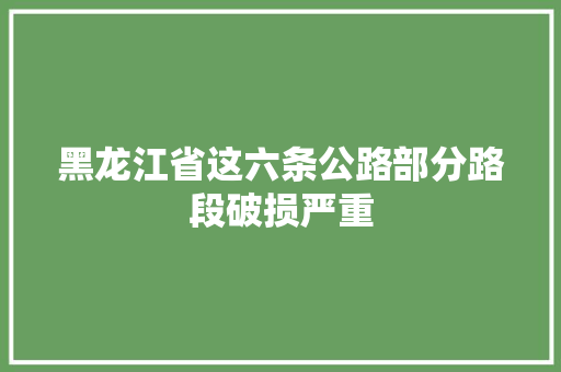 黑龙江省这六条公路部分路段破损严重