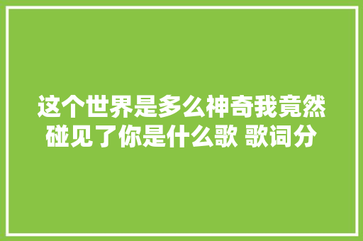 这个世界是多么神奇我竟然碰见了你是什么歌 歌词分享在哪可以听 休闲娱乐