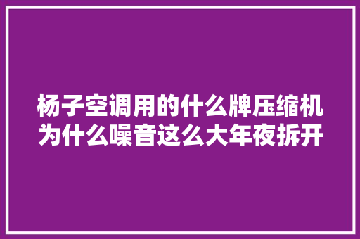 杨子空调用的什么牌压缩机为什么噪音这么大年夜拆开后你就