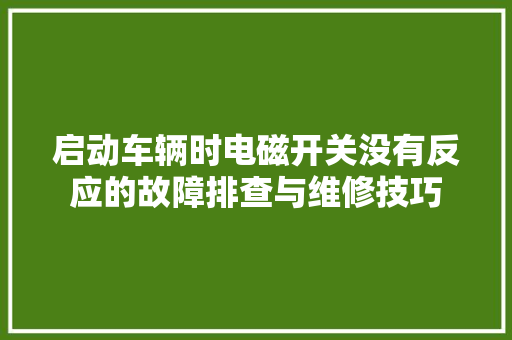 启动车辆时电磁开关没有反应的故障排查与维修技巧