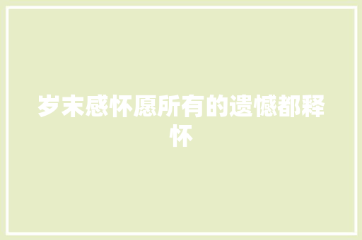 岁末感怀愿所有的遗憾都释怀